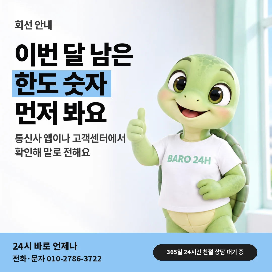 휴대폰을 보며 웃는 BARO 24H 티셔츠를 입은 3D 거북이 캐릭터 옆에 「남은 한도 확인」 제목을 얹은 안내 카드